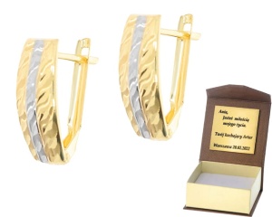 Złote kolczyki bez kamieni Próby 585