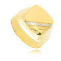 STS 001 IV.png