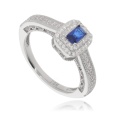 pca 085 x.jpg